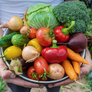 Korb mit verschiedenen Obst- und Gemüsesorten